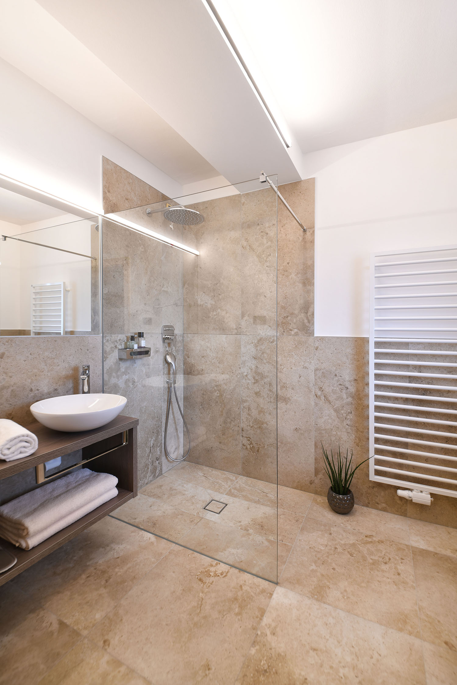 Dusche im Badezimmer vom Studio Vital Deluxe - Hotel das stachelburg