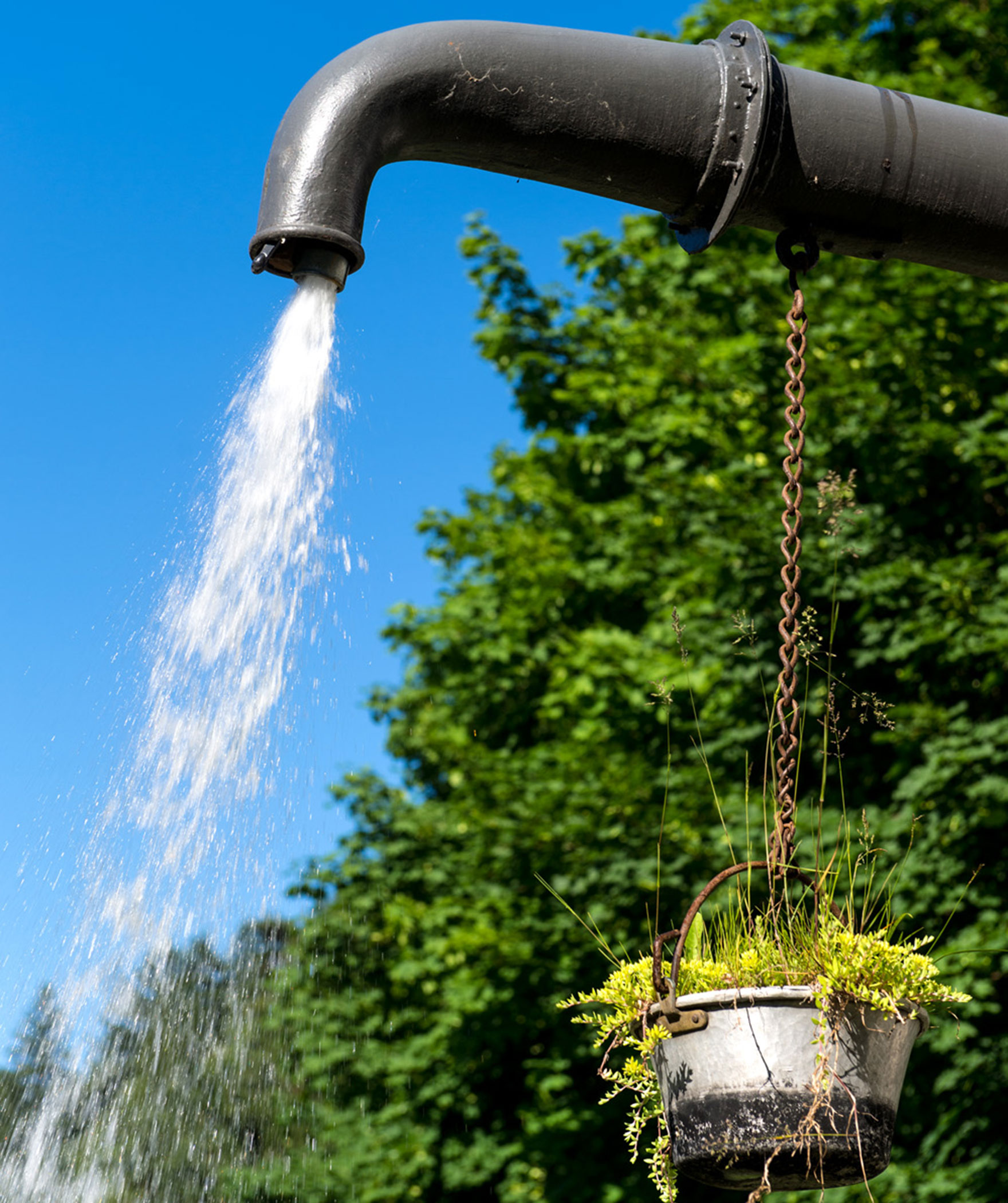 Wasserhahn mit Blume