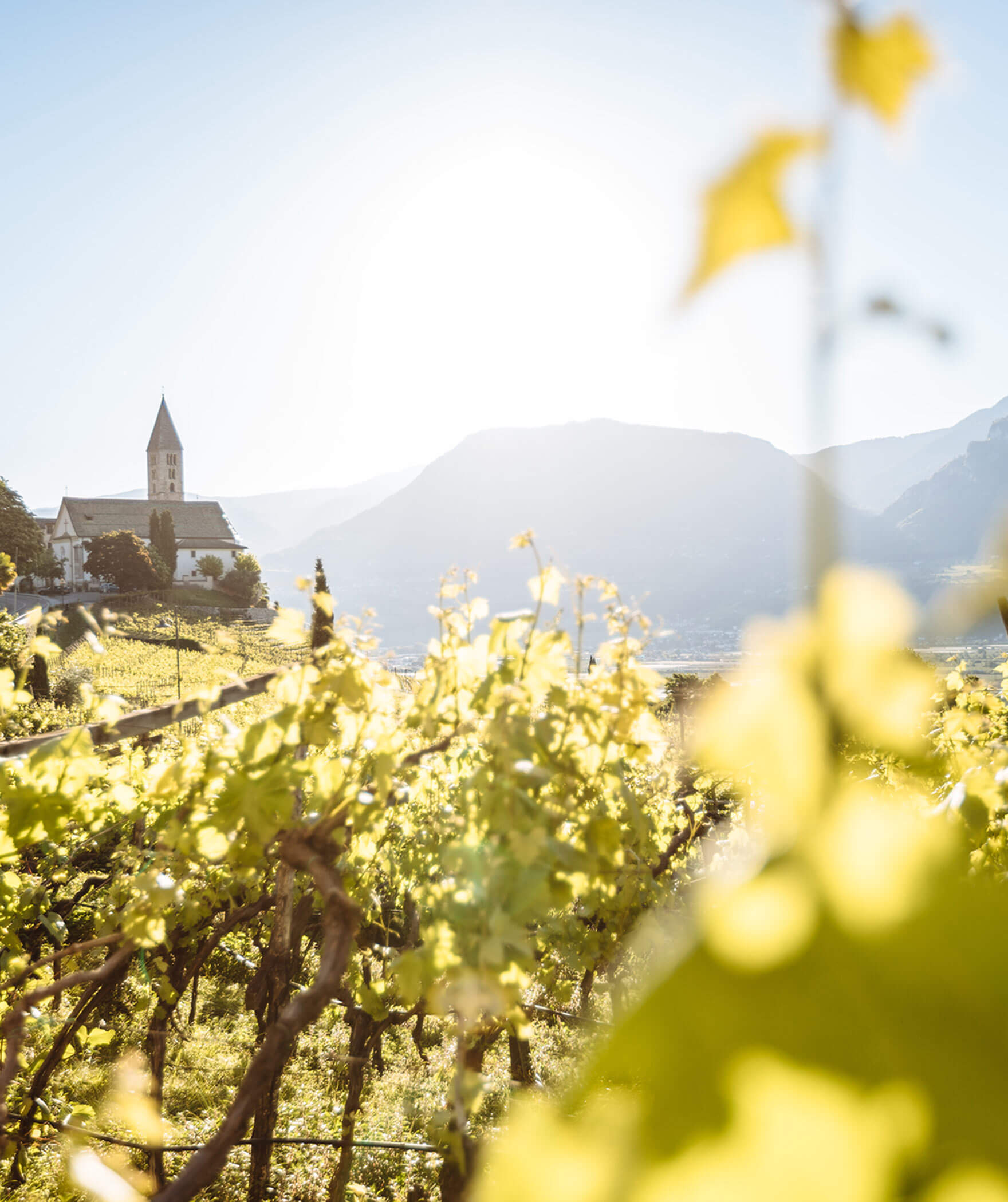 Wanderung zum Schloss