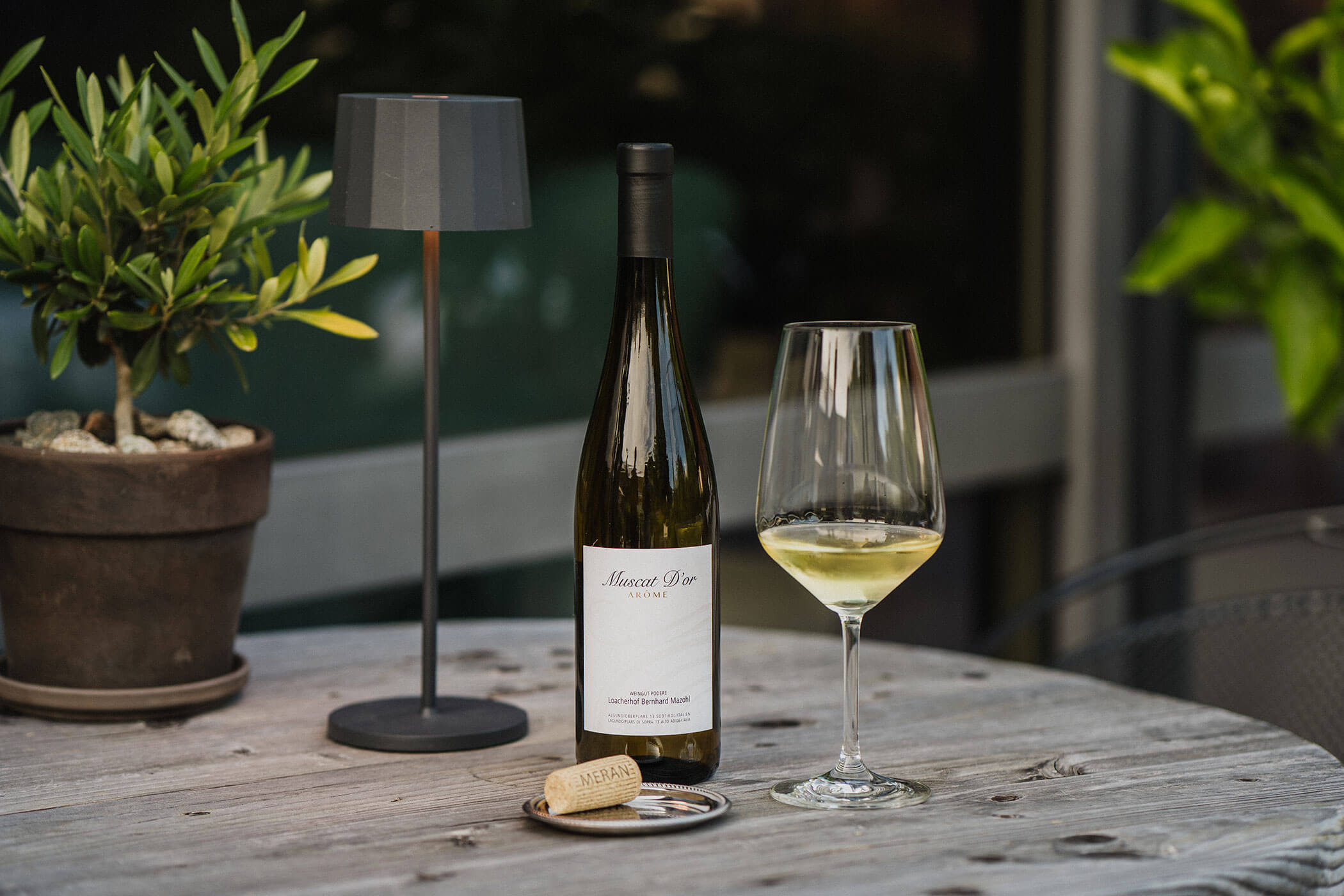 Weißwein auf dem Tisch neben Pflanze